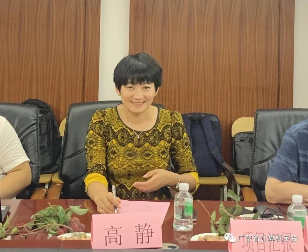 广东恒电信息科技股份有限公司高静董事长