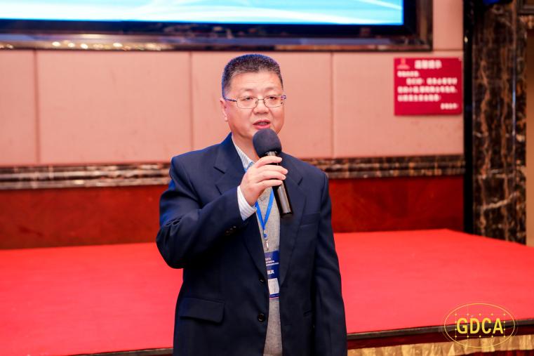 大数据专业委员会主任印鉴教授致辞